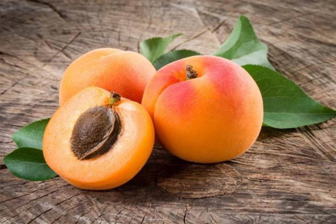 المشمش الاختيار الأمثل لمواجهة هذه الأمراض.. احرص على تناوله