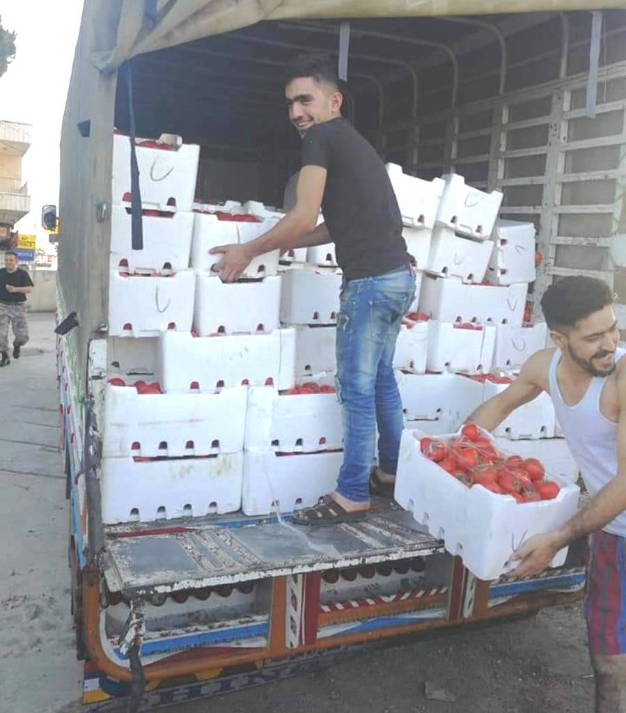 ضبط 9 اطنان من البندورة السورية المهربة في سوق الخضار في قب الياس