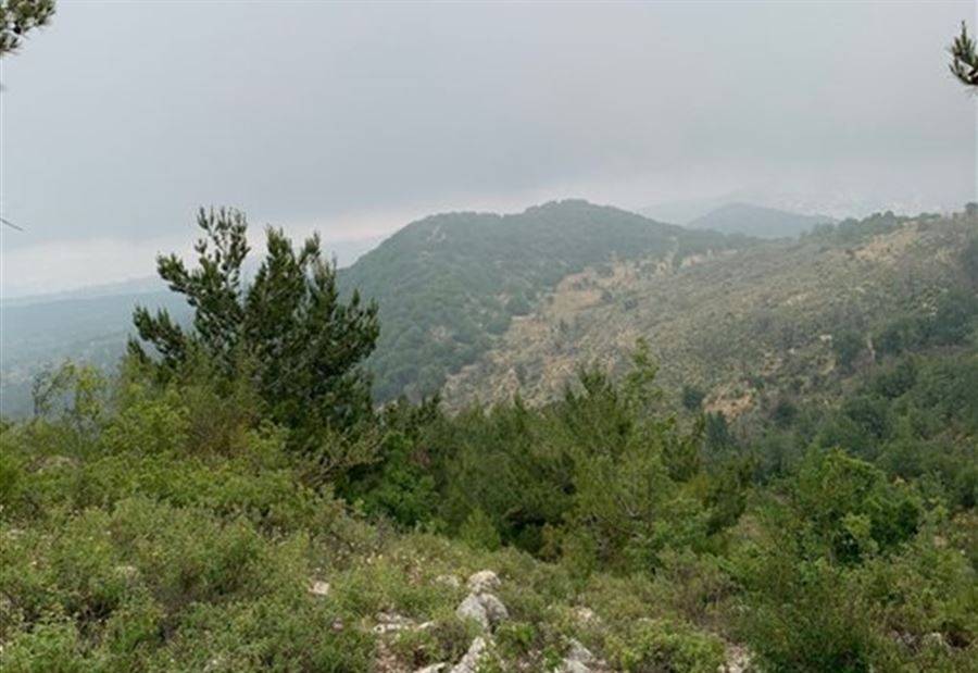 جنبلاط ينشر صوراً لطبيعة لبنان... ماذا يقصد؟