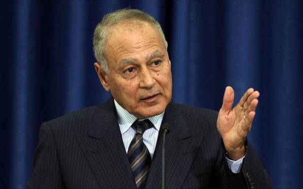 ابو الغيط : ايران وتركيا تحملان مشروعاً توسيعاً