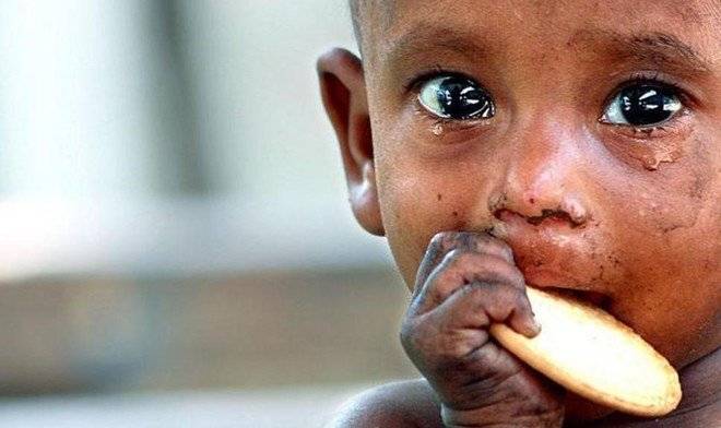 "الفاو" في عامها الـ 70 .. ذراع الأمم المتحدة القوي للتصدي للجوع في العالم