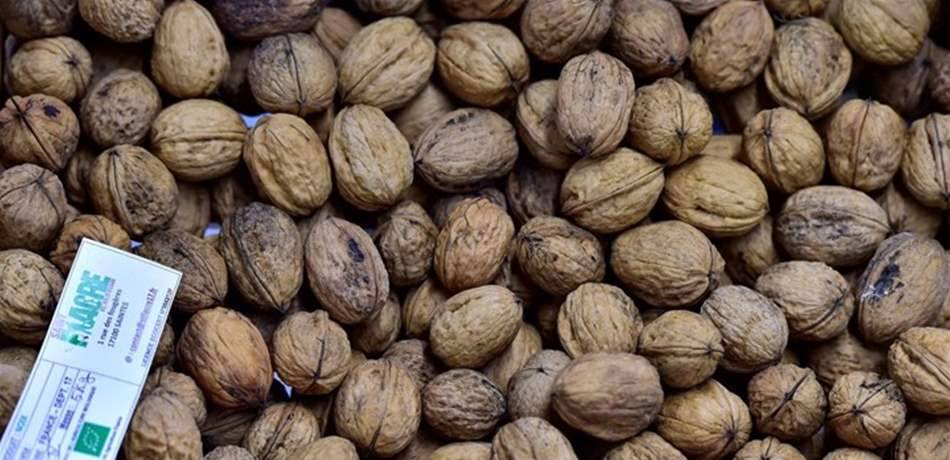 انفوغرافيك.. أبرز الأطعمة التي تساعد على مكافحة الأمراض ومنعها