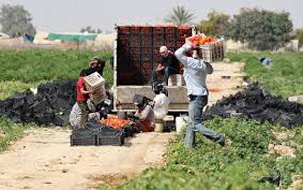 بعد منع التوظيف لـ3 سنوات في القطاع العام واستنزاف القطاع الخاص

100 ألف مُتخرّج مــن الـجامعات «مشاريـع هـجرة أو بـطـالــة