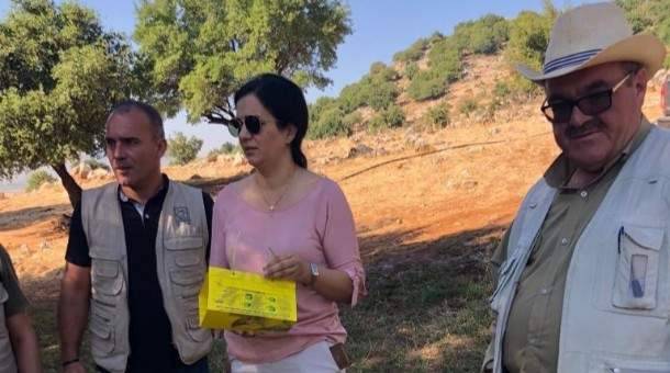 وزارة الزراعة اطلقت حملة مكافحة مرض جاذوب السنديان في عميق والجوار