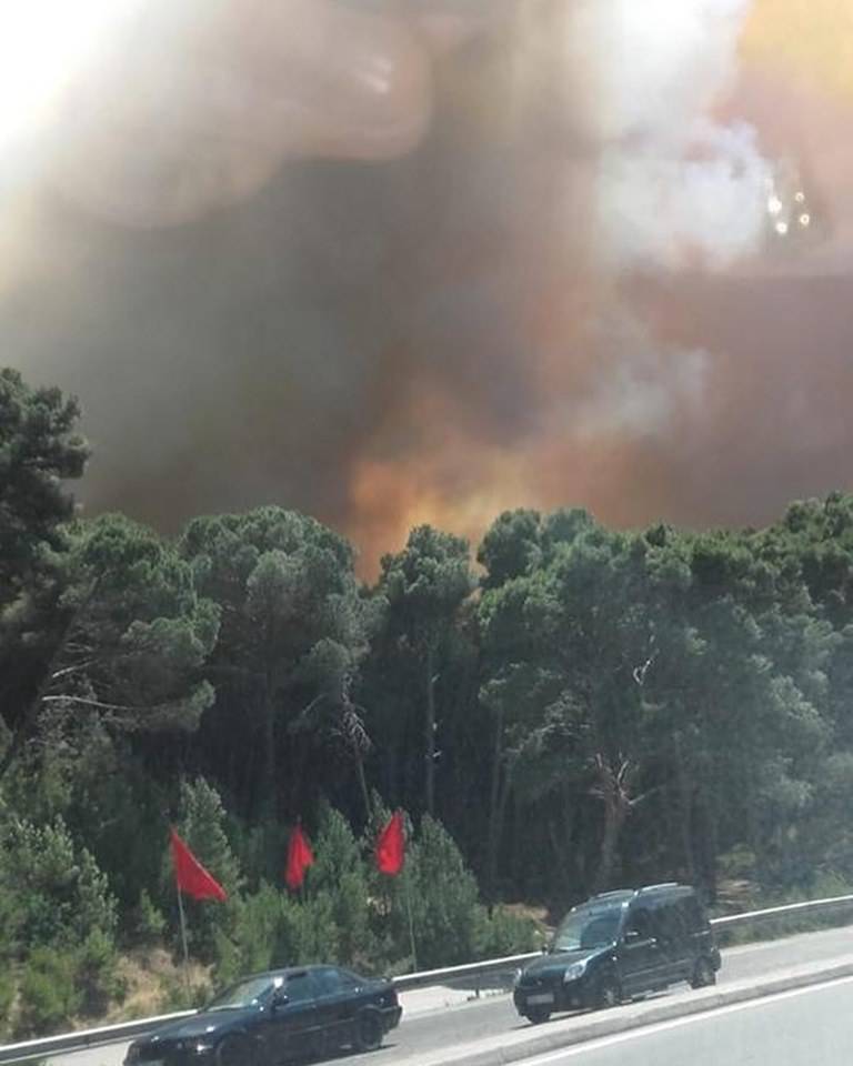 فيديو.. حرائق هائلة بتطوان المغربية