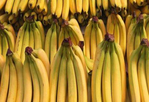 ضبط 11 طنا من الموز المهرب