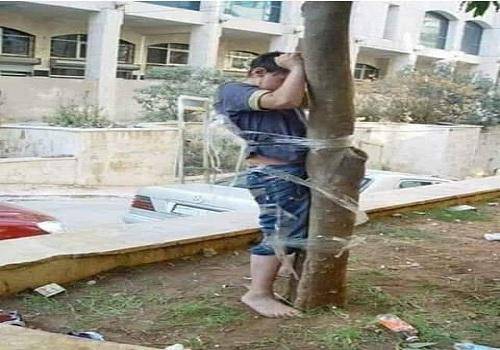 "لو حطيت حمار جارنا عند اساتذة كان نجح"... أب يربط إبنه بالشجرة لرسوبه في البكالوريا