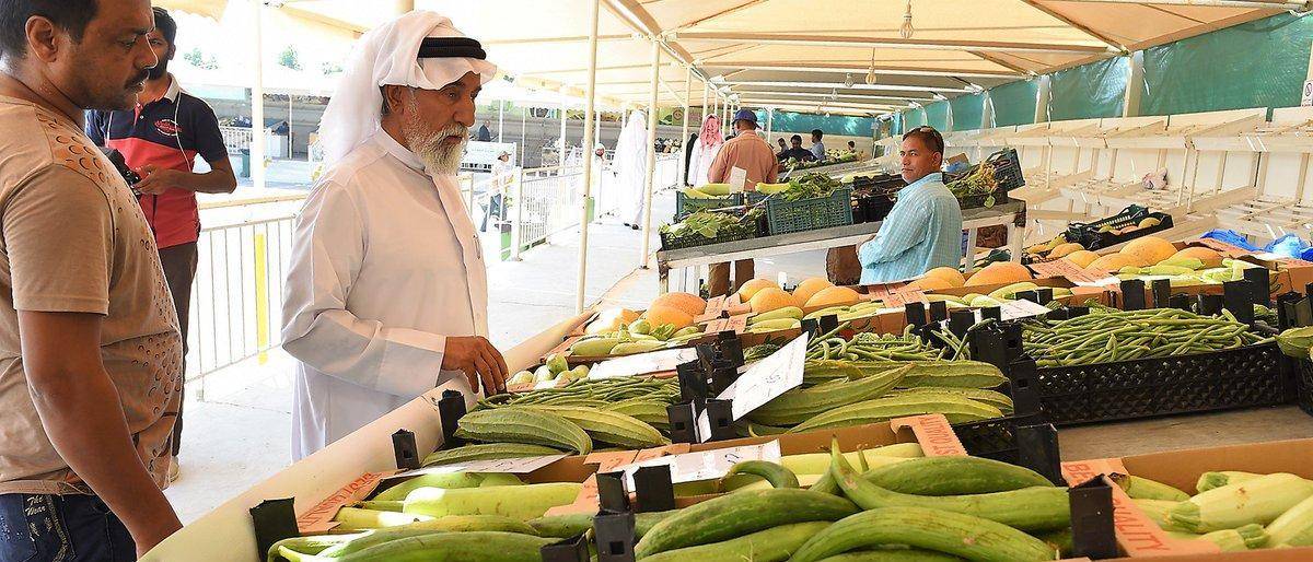 بيع 770 طناً من منتجات مزارع قطر المحلية خلال يونيو