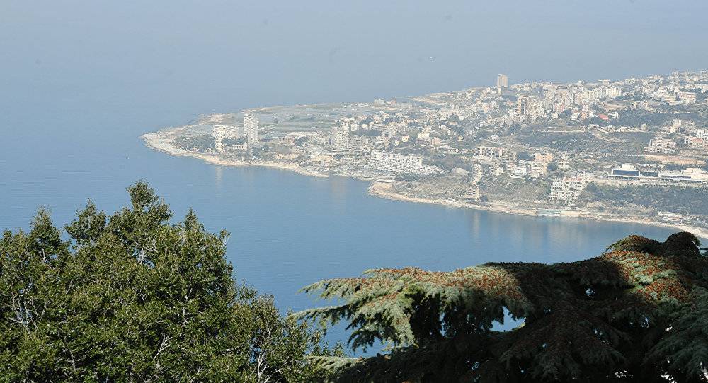 بالفيديو... كائنات بحرية تجتاح سواحل لبنان بالآلاف