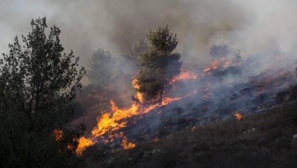 حريقان أتيا على مساحات من أشجار الزيتون والدوالي والسنديان