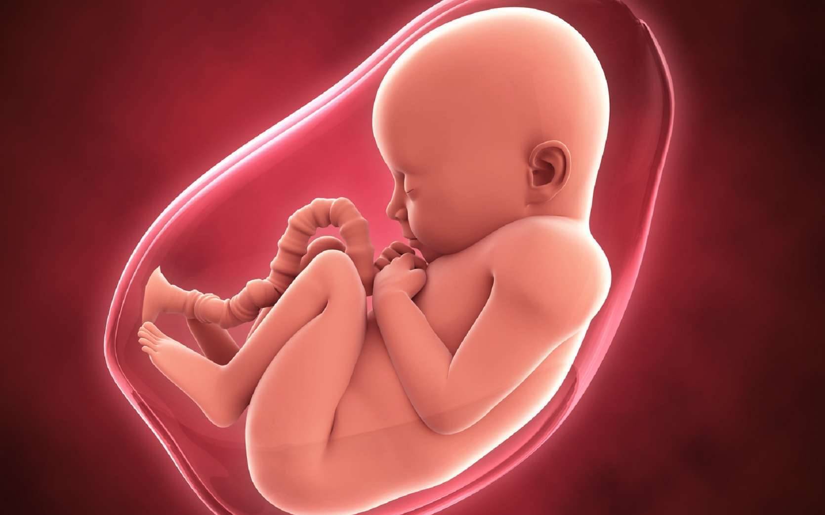 هل يمكن وقاية الإنسان من السرطان قبل ولادته؟