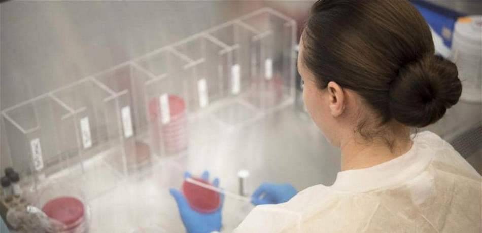 لأول مرة: موافقة على تنمية أعضاء بشرية داخل حيوانات.. اليكم التفاصيل!