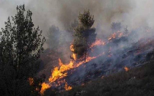 حرائق بالجملة في عكار.. والدفاع المدني عمل على إخمادها