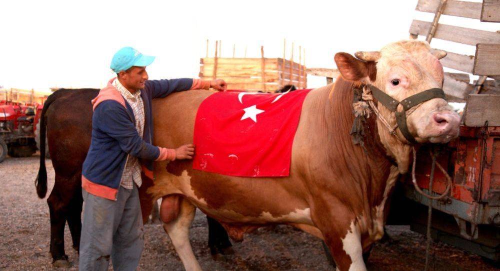 إطلاق اسم 