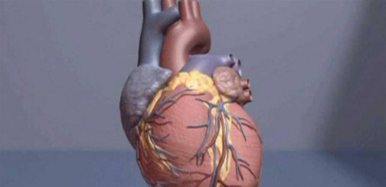حل بسيط جدا لأمراض القلب القاتلة... تعرّفوا إليه