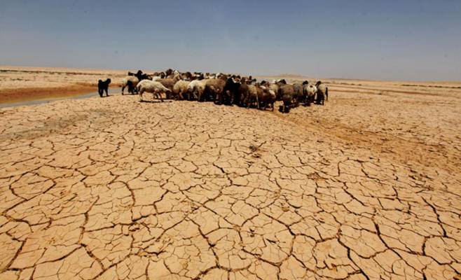 تحذير من جفاف حادّ سيضرب المغرب.. ودول عربية أخرى ضمن "الخانة الحمراء"