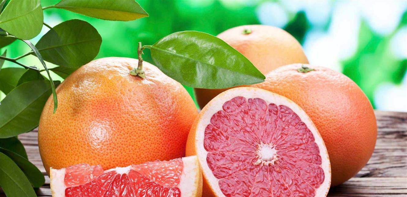 معلومات مفيدة عن الغريب فروت