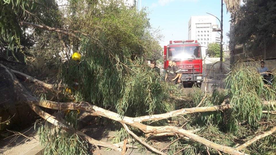 سقوط شجرة وسط الطريق العام في الجناح... والدفاع المدني عمل على ازالتها