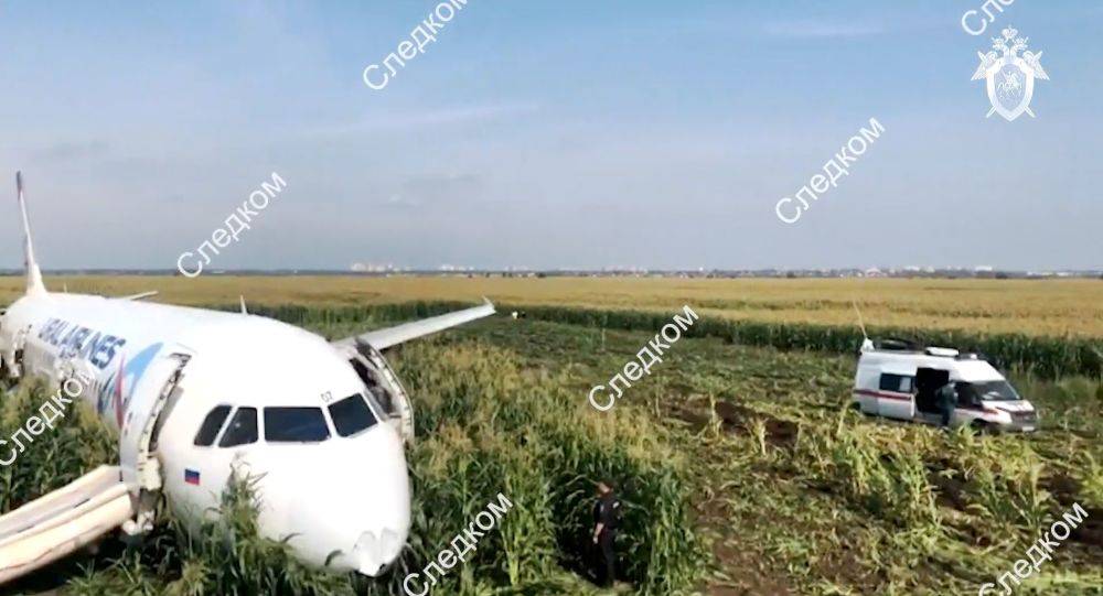 بوتين يكرم طياري "إيرباص A321" بعد هبوطها الاضطراري الناجح