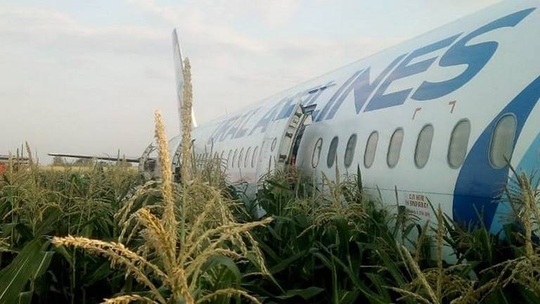 هل أنقذت سيقان الذرة طائرة الركاب الروسية من كارثة مؤكدة؟