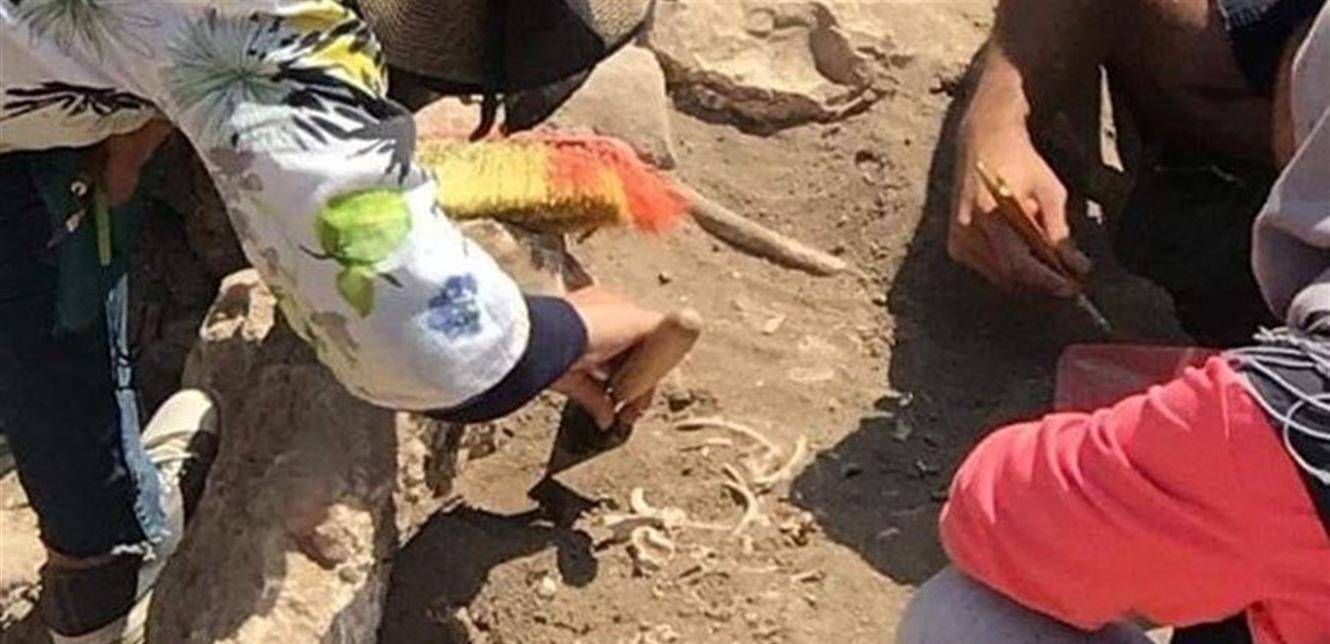 بعد العثور على عظام طفل في قلعة بعلبك... المديرية العامة للآثار توضح