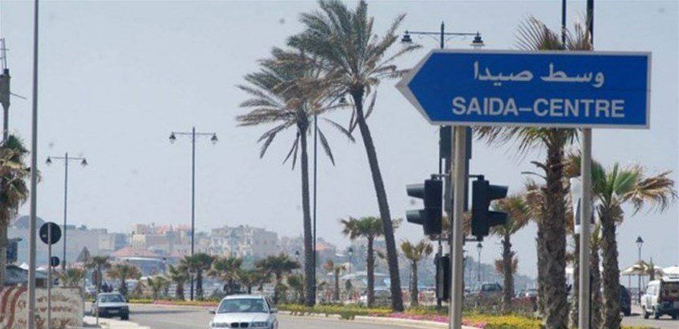 ضبط شاحنة محملة بكميات كبيرة من الخضار المهربة في صيدا