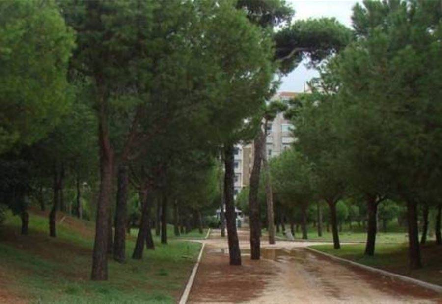 بعد الجدل حول "حرج بيروت"... البلدية توضح