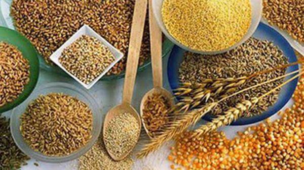 شركة تجارة روسية تتطلع إلى بيع حبوب لمصر