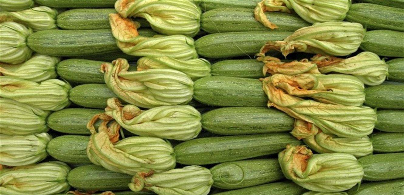 فوائد صحّية عديدة للكوسا... تعرّفوا إليها!