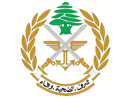 الجيش يحذر من استعمال الطائرات المسيّرة خلال إحياء ذكرى مراسم عاشوراء