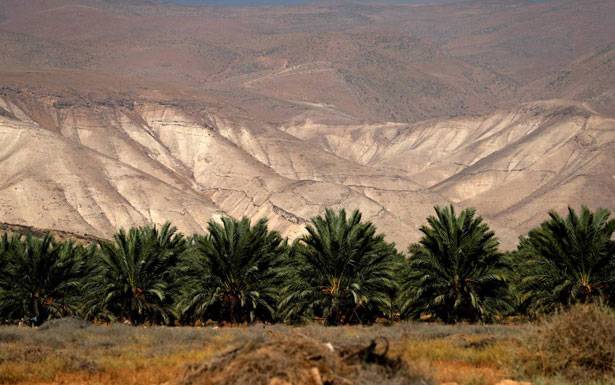 الملك سلمان يبلغ عباس : إعلان اسرائىل ضم أراض فلسطينية باطل