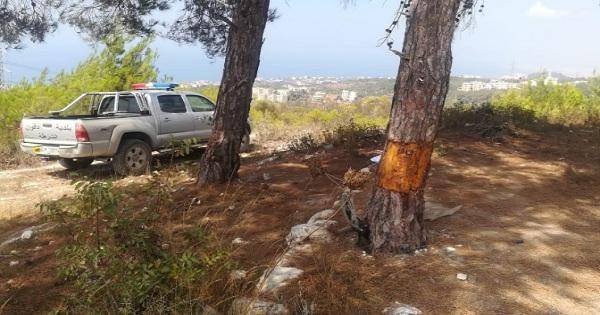 جريمة بيئية في بلدة دقّون- عاليه