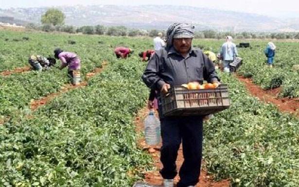 الإعلان عن «مؤتمر النهوض بالزراعة في لبنان»