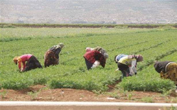 جمعيّات عموميّة «نقابة العمّال الزراعيين»