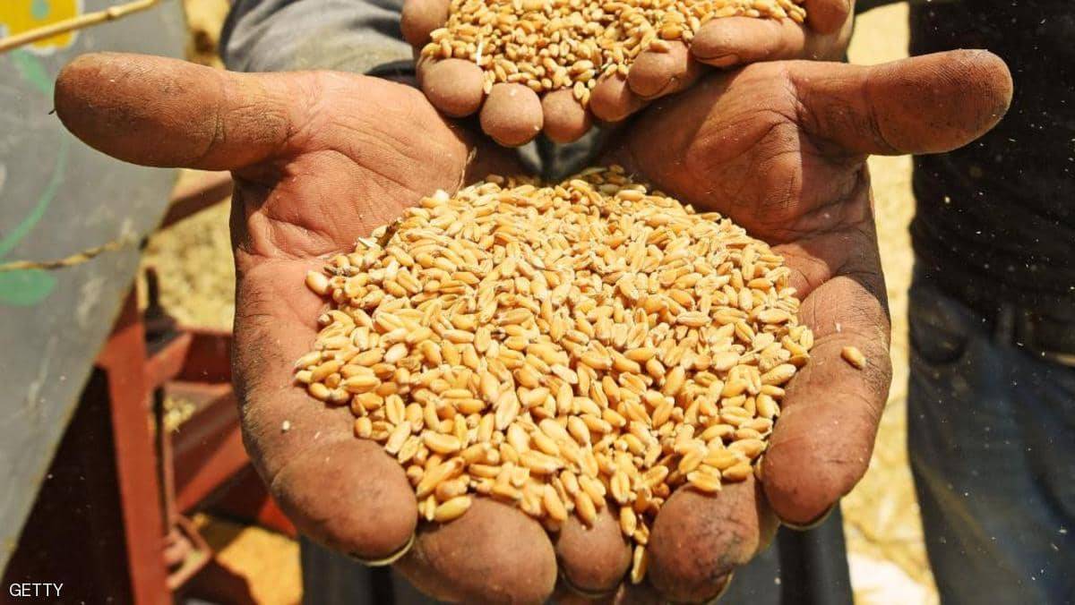 مصر.. إحالة 19 موظفا للمحاكمة بقضية 