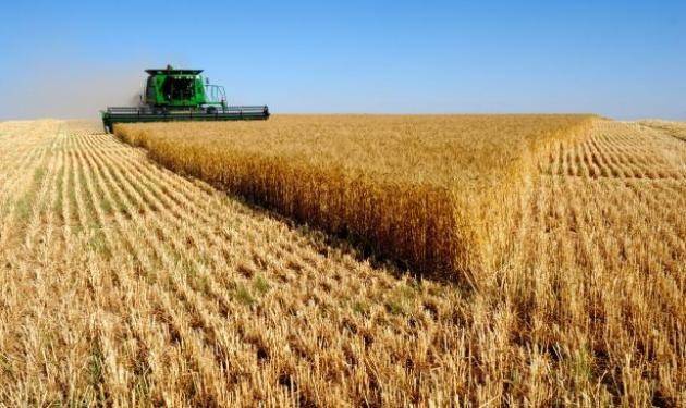 سوريا تطرح مناقصة لشراء 150 ألف طن قمحا