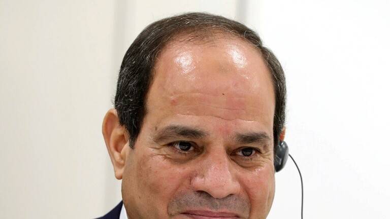 السيسي يرفض استخدام مصطلح 