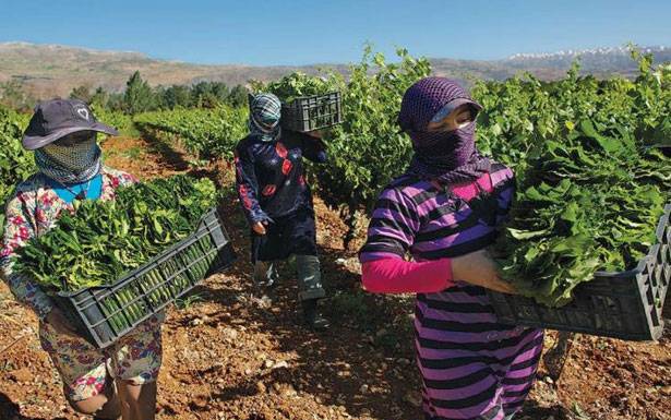 إتفاقيّة للتبادل الزراعي بين لبنان والأردن