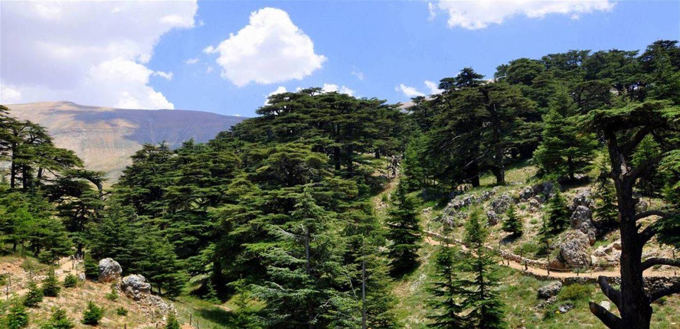 في ظل الحرائق المندلعة.. تحذير للبنانيين