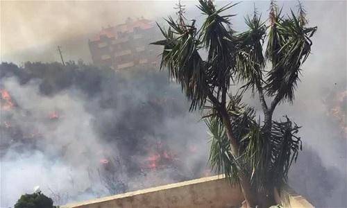 حريق كبير في جدايل.. وقائمقام جبيل طلبت من أصحاب الصهاريج المساعدة