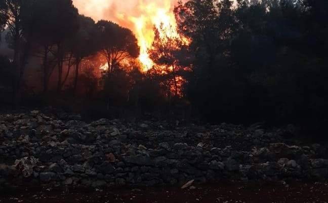 رئيس بلدية مزرعة الضهر: الحرائق تجددت اليوم ونحن بحاجة لطوافات متخصصة