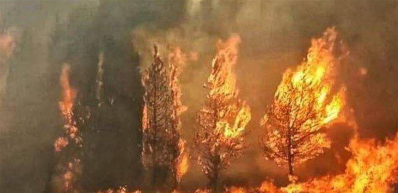 دعوات لإعلان حالة الطوارىء ووقف المؤسسات التعليمية اليوم