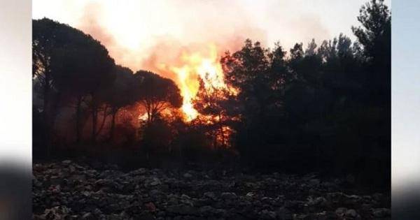 اخماد حريق خراج بلدة خربة بسري ومنطقة اقليم الخروب الجنوبية