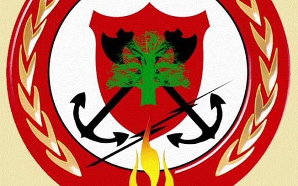 الدفاع المدني يلجأ الى نقل المرضى بحراً!