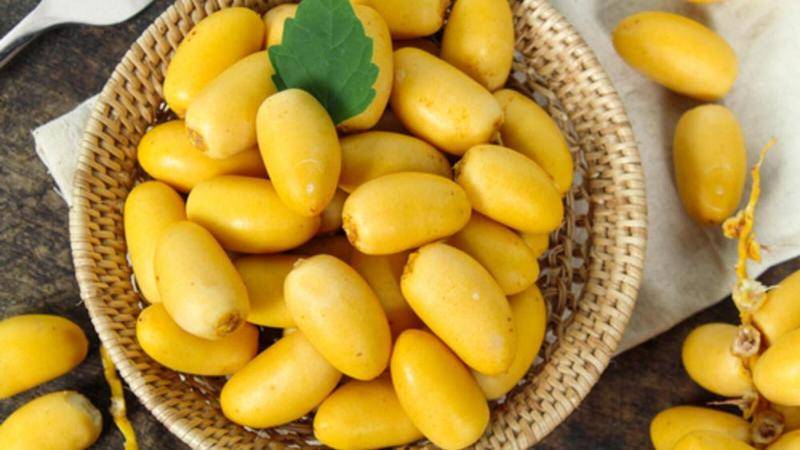فوائد البلح للجسم لا تقدّر بثمن !