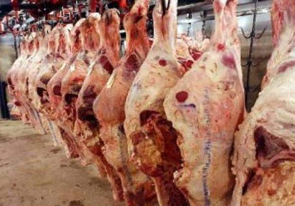 الملاح: سعر كيلو لحم البقر قد يتضاعف إلى 30 ألفاً ابتداء من مطلع الشهر المقبل