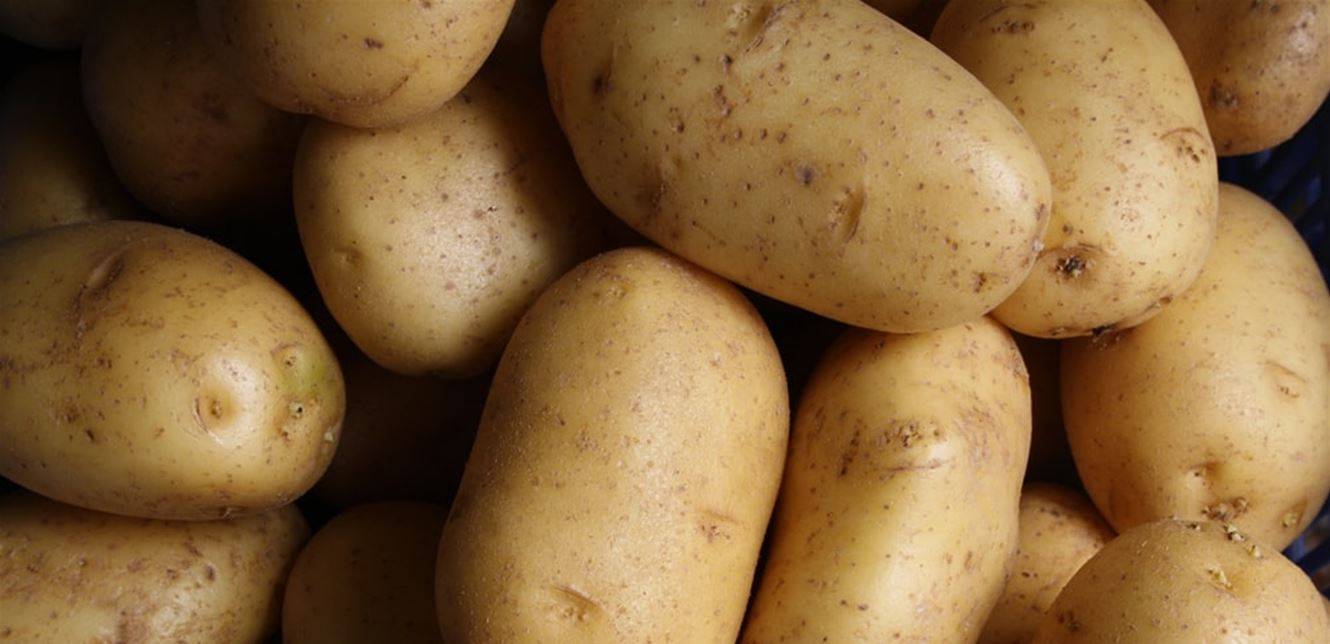 بسبب الدولار.. البطاطا ستنقطع من الأسواق؟