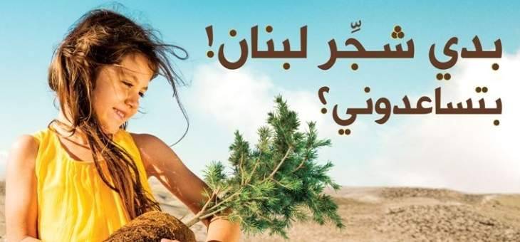 300 متطوع شاركوا جمعية جذور لبنان لزرع أكثر من 500شجرة أرز في كفردبيان