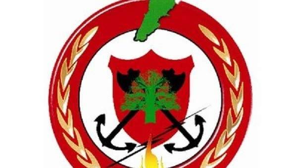 الدفاع المدني أخمد حريق أعشاب في كفرجرة شرقي صيدا