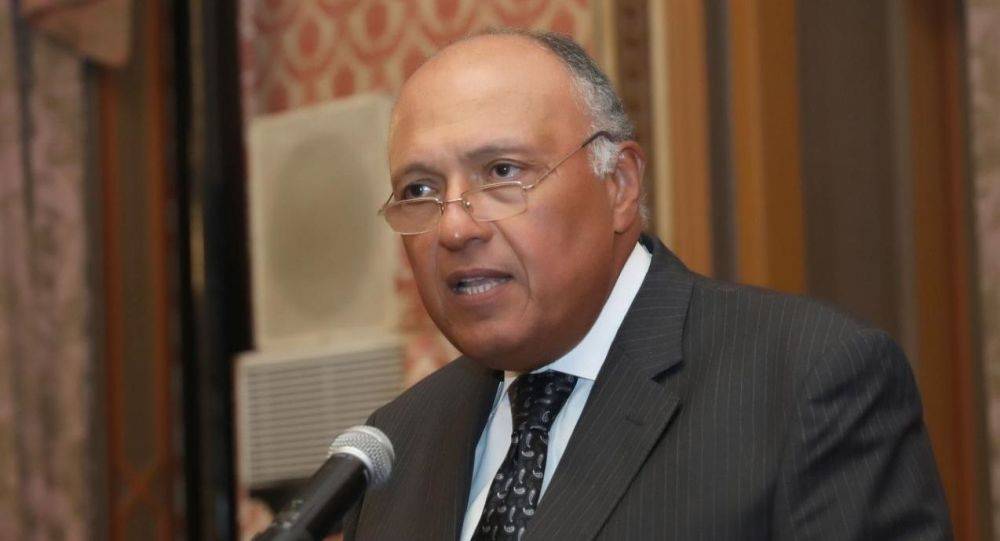 وزير خارجية مصر عن اتفاق السراج وأردوغان: الالتزام باتفاق الصخيرات أو فقدان شرعيته